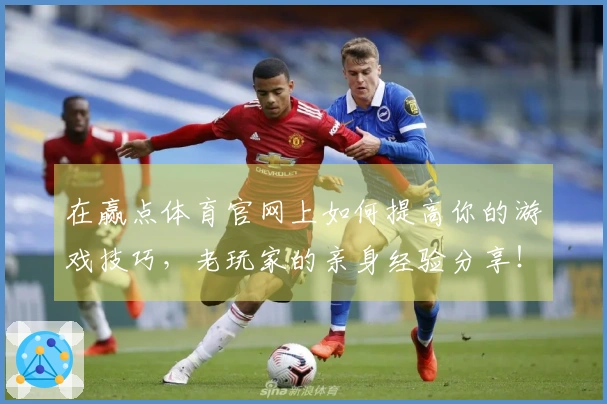 在赢点体育官网上如何提高你的游戏技巧，老玩家的亲身经验分享！